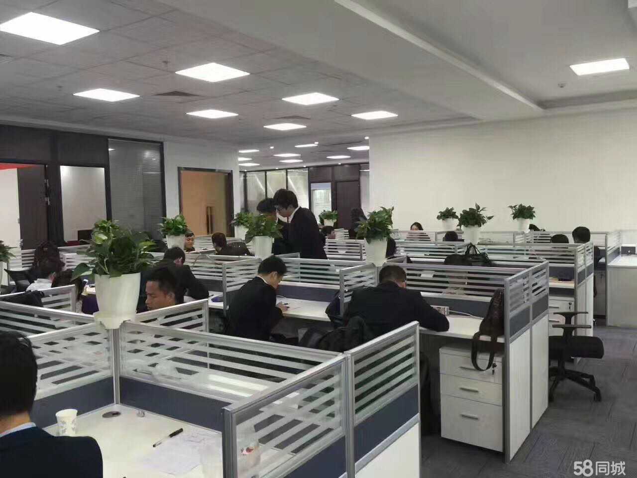 厦农商信息咨询公司 专注价值信息的专业伙伴